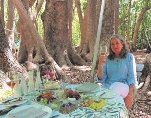 Come and enjoy a garden picnic at Vergelegen