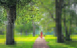 Showcase your Vergelegen photography: Share your captivating shots with a broader audience