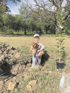 Plant a remembrance tree in memory of lost loved one