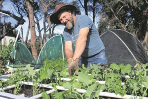 There’s a ‘table gardener’ in town!
