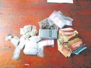 Drugs seized, suspect nabbed in bust