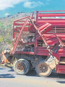 Ses varke dood na vragmotorongeluk