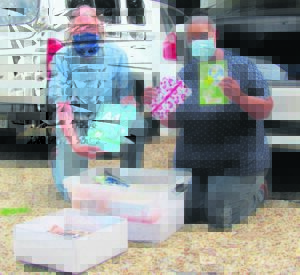 Harriers on the up and up