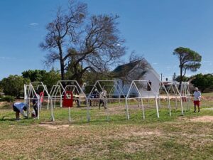 Raithby ryp vir herontwikkeling