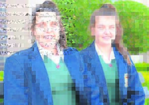 Vinkel en koljander, een lyk nes die ander