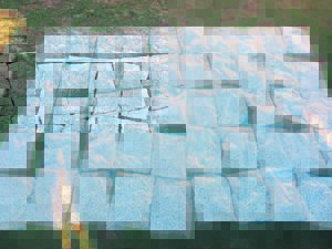 More drugs taken off the streets