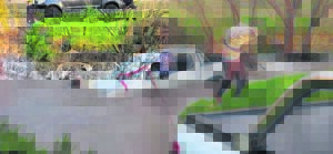 Veldrybakkie ja, maar swem, nee