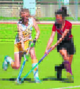 Arende wys staal teen toerspan