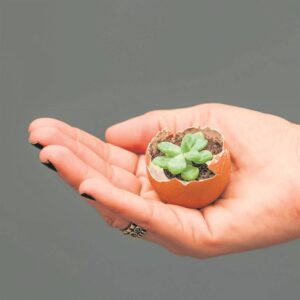 Guide provides useful tips for keeping a garden healthy in winter