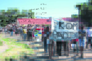 Steekmoorde teister gemeenskap