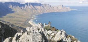 City’s biodiversity reviewed, have your say