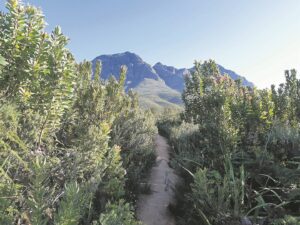 Reserve’s trails rejuvenated after the devastating wildfire last June