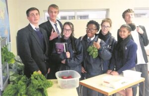 Pupils show they have green fingers