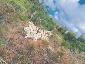 Portable toilets dumped