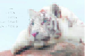 Aspirant photographers get snapping on school tour