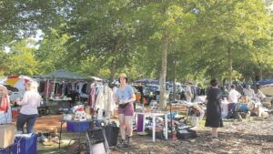 What’s happening in the Helderberg?