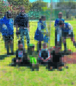 Witstinkhoutbome geanker