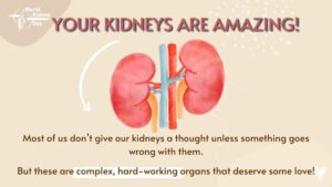It is high time you were much kinder to your kidneys