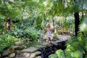 Fees van skaars plante by Tokara te sien