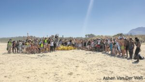 Maties students do their bit at Strand dunes