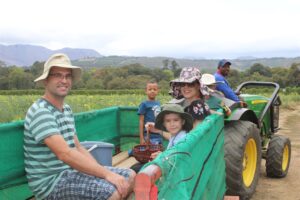 PHOTO GALLERY: Fruit-picking fun at Lourensford