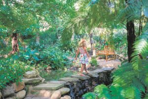 Tokara Rare Plant Fair and Open Garden 2024, highlight of a Stellenbosch Spring