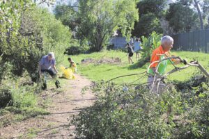 PHOTO GALLERY: Community cleans up the banks of the Lourens River