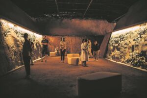 Immerse yourself in an underground experience of earth