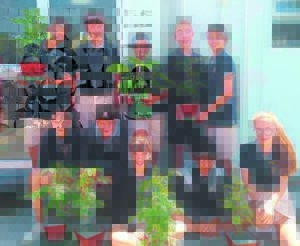 Grade 7 plant project