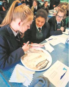 Vinnige wegbreek na akwarium