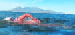 Historic open-water swim crusade to aid furry friends