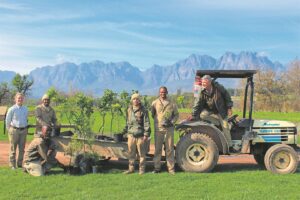 Plant a tree at Vergelegen during National Abor Week
