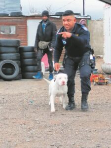 Hercules saves the day