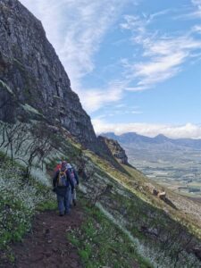 City Nature Challenge: Calling on all nature lovers!