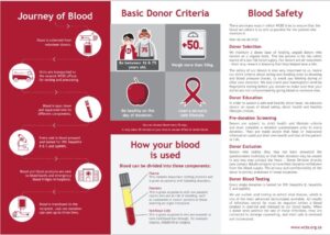 Celebrate National Blood Donor month as an act of solidarity
