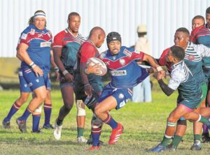 Clinical Macassar power over Busy Bees