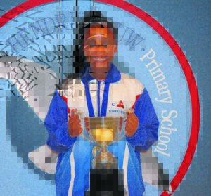 Laerskool Hendrik Louw sy vereer sportsterre