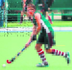 Arende se hokkie kóók