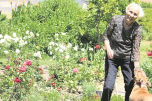 Open Gardens delight greenies