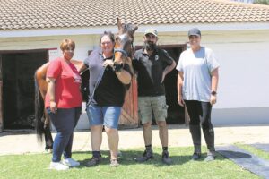 Somerset-Wes-inspekteur veg vir diere en hul welstand