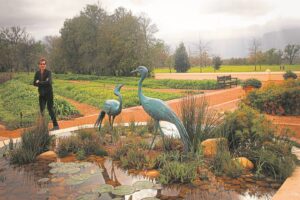 Ode to breeding cranes