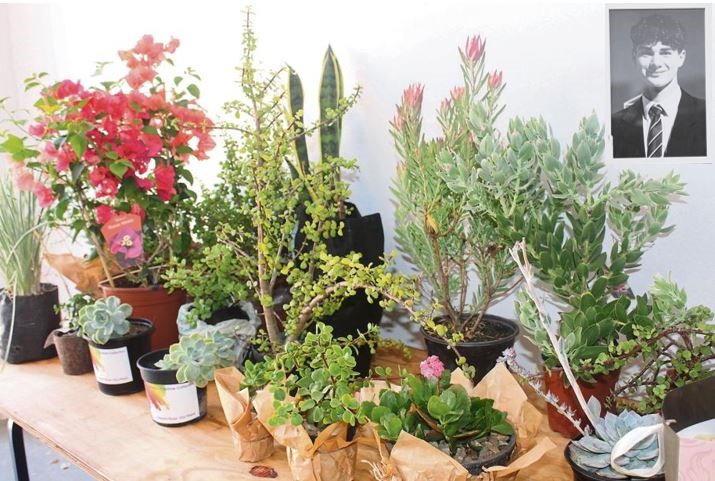 Rouklaers het ter ere van Jean vetplante wat Sater