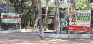 Primate centre in the spotlight