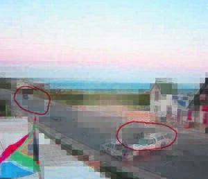 Bettysbaai-botsing: Bobbejaanmonitors oorleef
