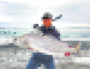 HOOK, LINE & SINKER: ‘Tis the season for kob