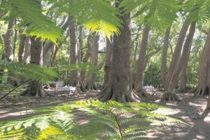 Top 10 things to do in the Helderberg