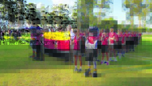 SUMMER INTERSCHOOLS: Sharkies making superb strides