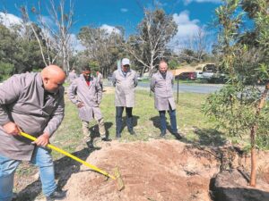 Paying homage to the Denel 8