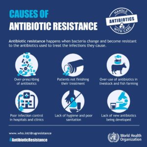 Use antibiotics only as an anti-bacterial, and not an anti-viral. Here’s why . . .