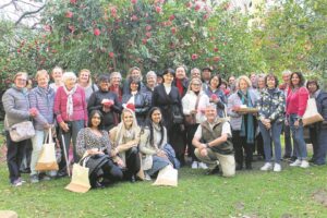 PHOTO GALLERY: A colourful celebration of Camellias